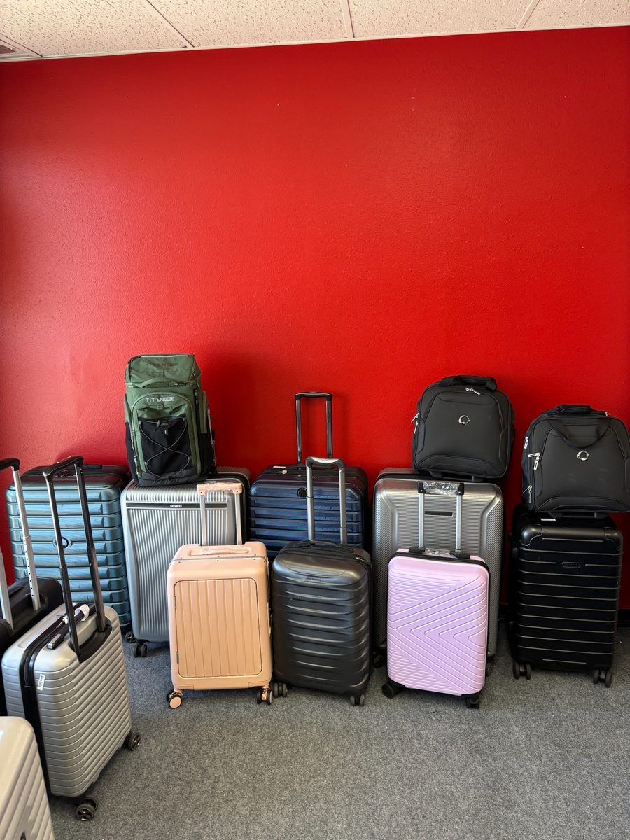 Suitcases in the store